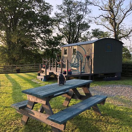 קורוון The Peacock Shepherds Hut At Hafoty Boeth מראה חיצוני תמונה