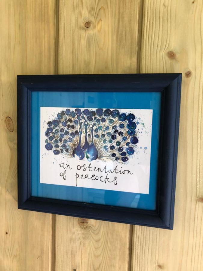 קורוון The Peacock Shepherds Hut At Hafoty Boeth מראה חיצוני תמונה